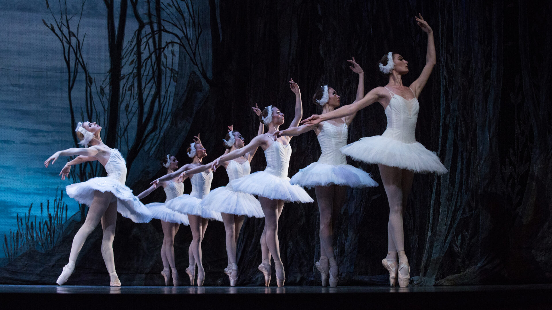 Swan Lake | World Forum Theater