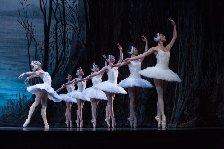 Swan Lake | World Forum Theater